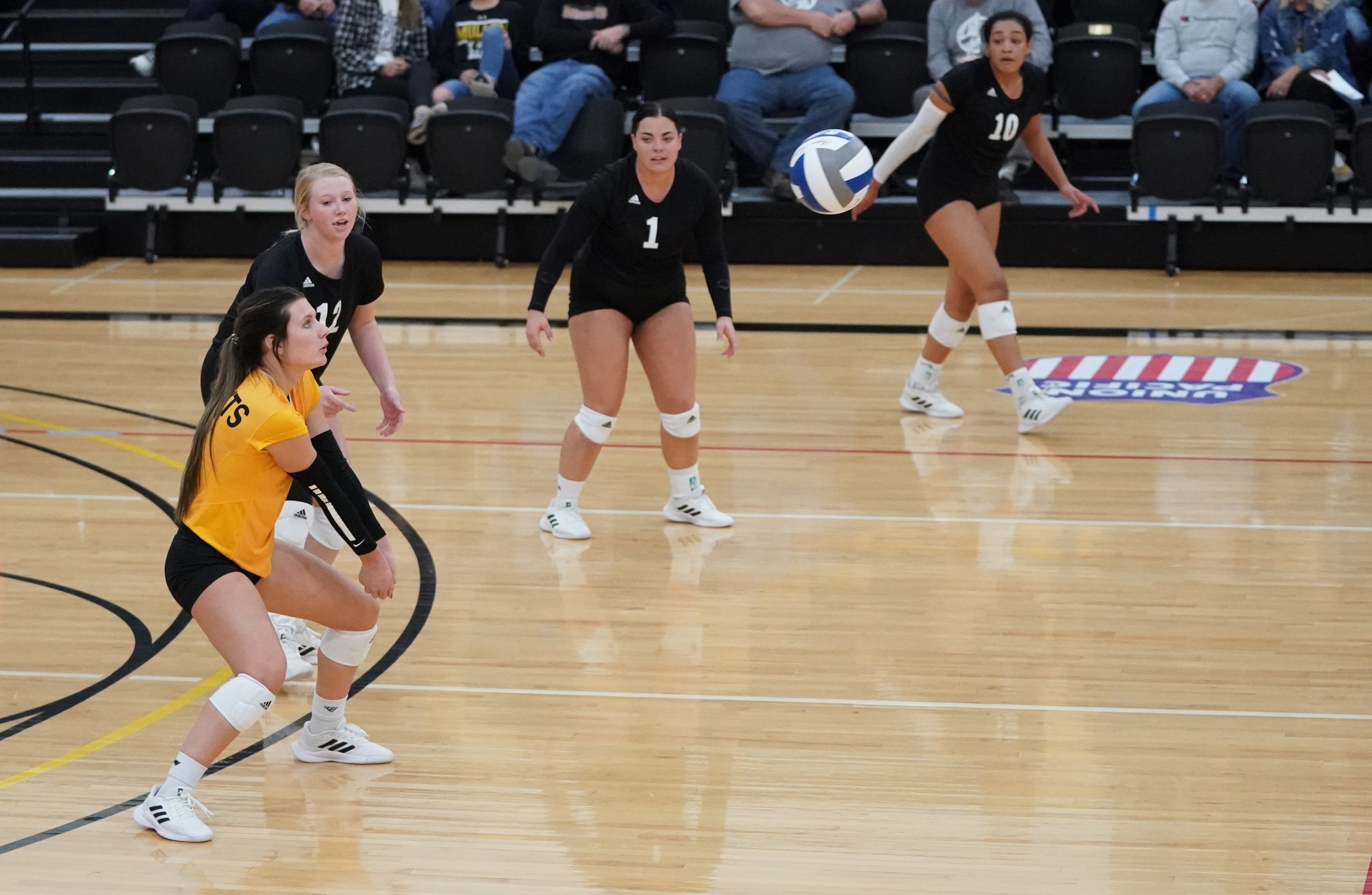 Knights fall to UNK in five sets