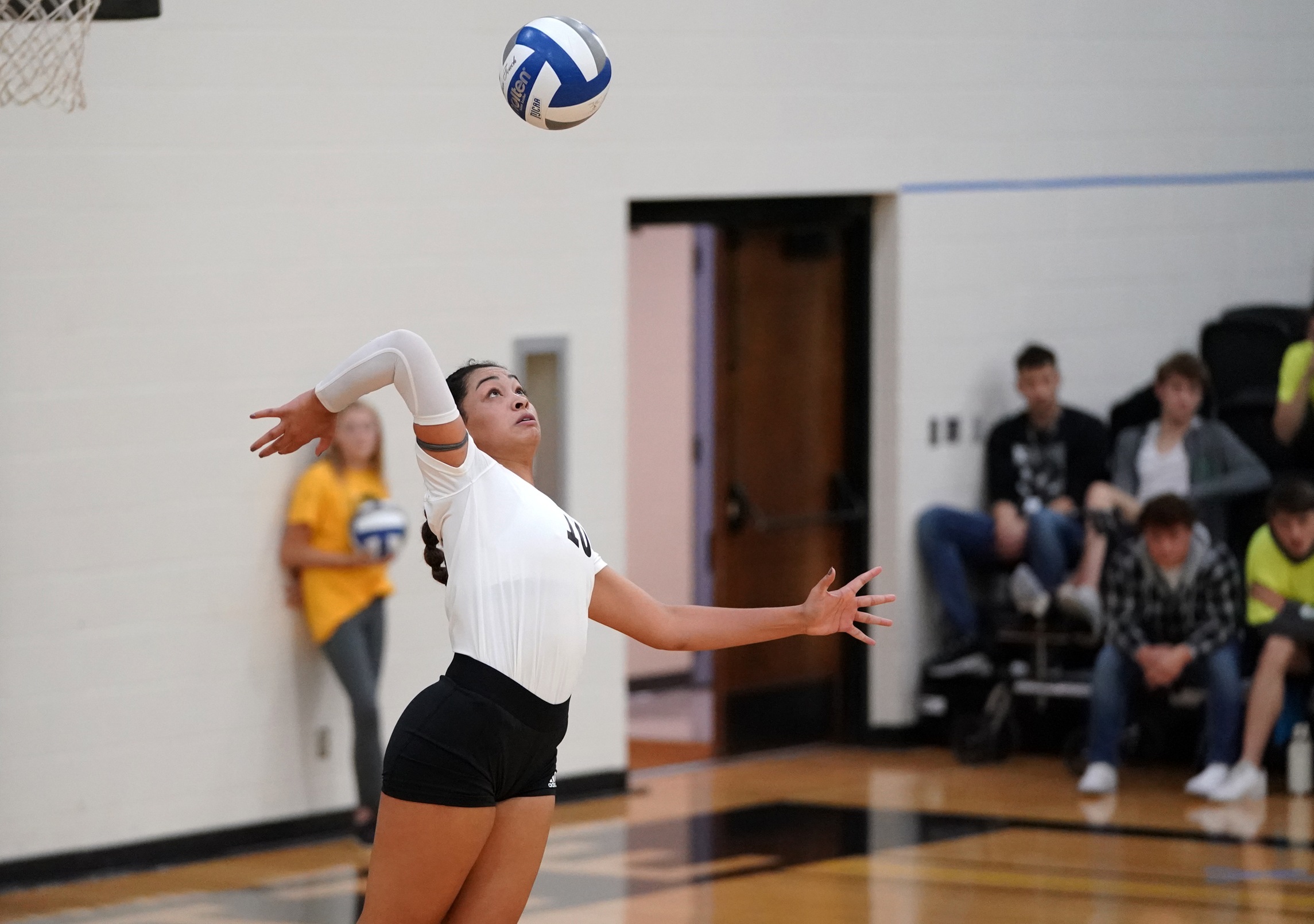 Season ends for Knights Volleyball